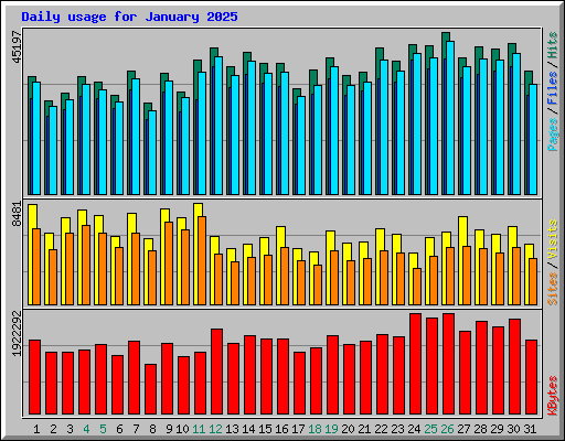 Daily usage for January 2025