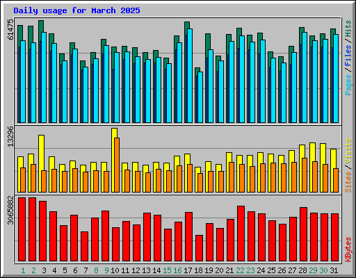 Daily usage for March 2025