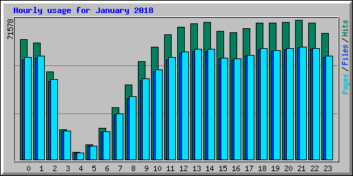 Hourly usage for January 2018