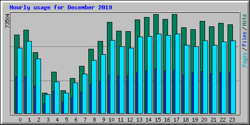 Hourly usage for December 2019