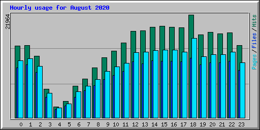 Hourly usage for August 2020