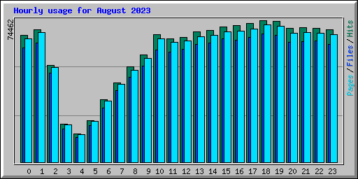 Hourly usage for August 2023