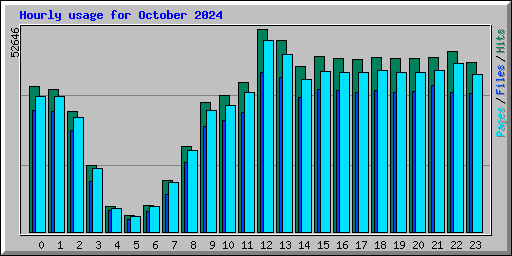 Hourly usage for October 2024