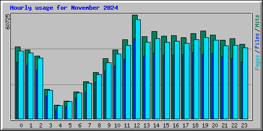 Hourly usage for November 2024
