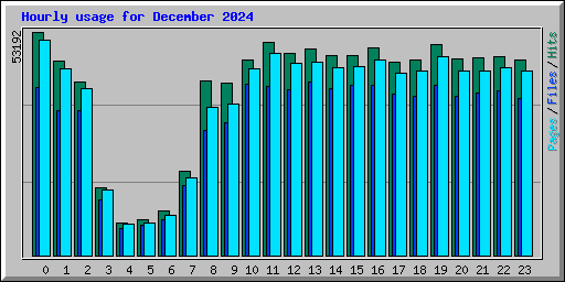 Hourly usage for December 2024