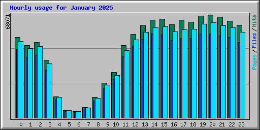 Hourly usage for January 2025