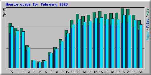 Hourly usage for February 2025