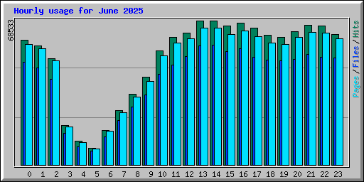 Hourly usage for June 2025