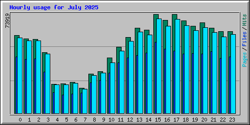 Hourly usage for July 2025