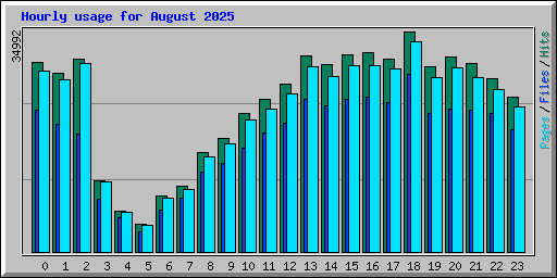 Hourly usage for August 2025