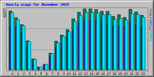 Hourly usage for November 2025