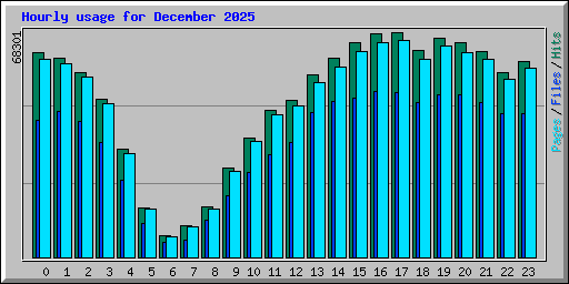 Hourly usage for December 2025