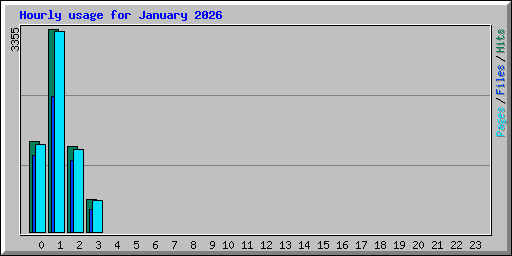 Hourly usage for January 2026