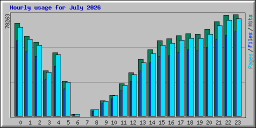 Hourly usage for July 2026