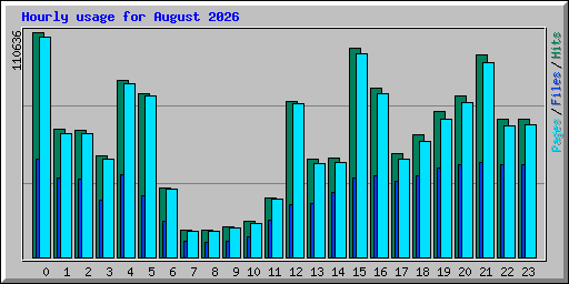 Hourly usage for August 2026