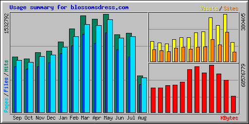 Usage summary for blossomsdress.com
